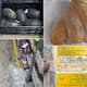 stagnant water, foul odor, expired product in food pack; Zepto s license revoked