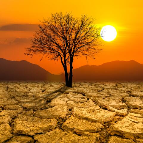 Man-made climate change gave half the world an extra month of extreme heat: Study