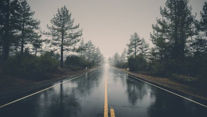 Rain Forecast  mp