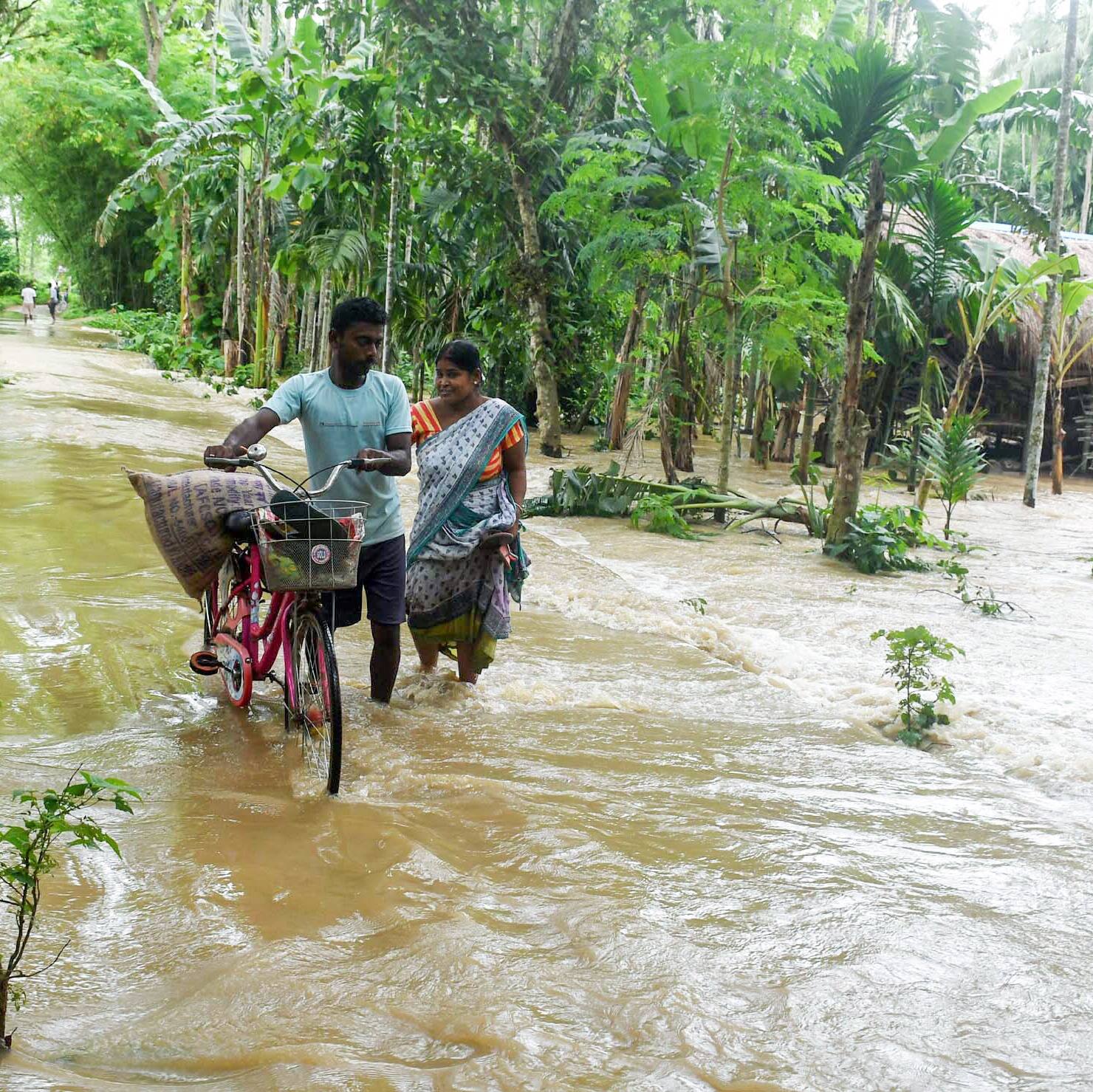 Assam floods: IMD predicts more rain as over 4 lakh affected across 15 districts
