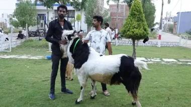 Asianet Image