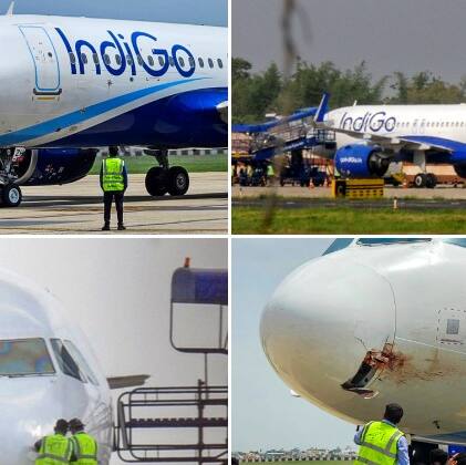 IndiGo flight hit by bird near Ranchi, makes emergency landing; 175 passengers safe