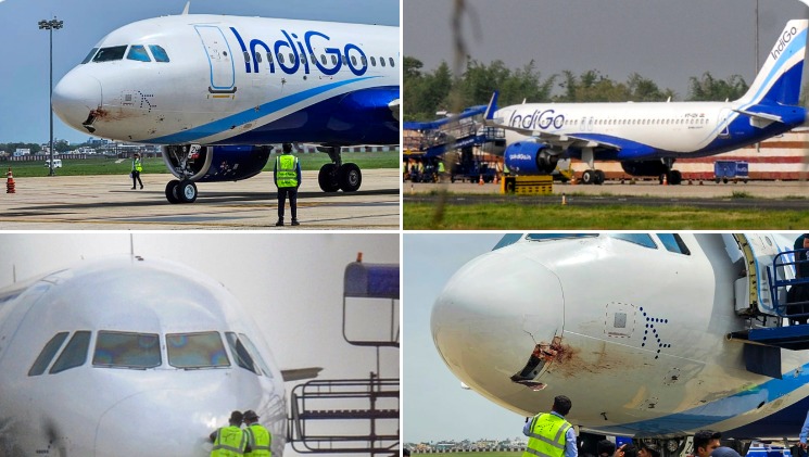 IndiGo flight hit by bird near Ranchi, makes emergency landing; 175 passengers safe | Asianet Newsable