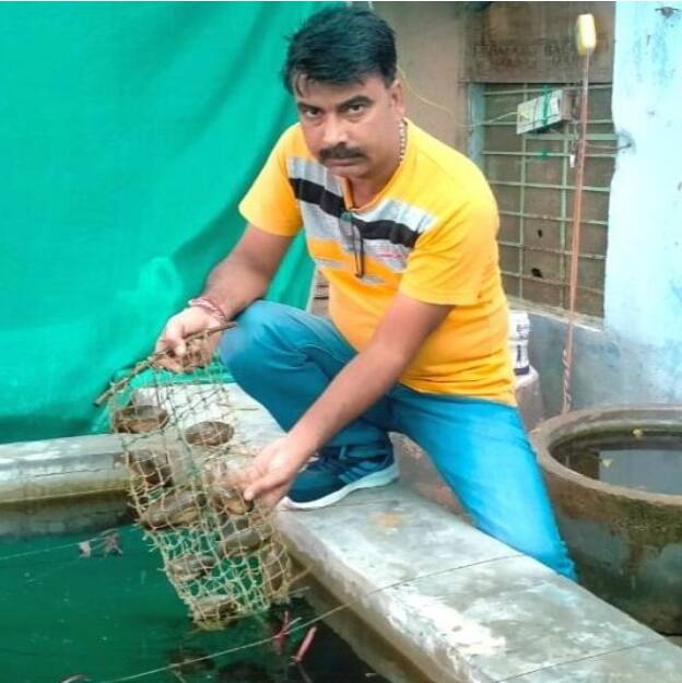 Pearl farming: యూట్యూబ్ వీడియో జీవితాన్నే మార్చేసింది: ముత్యాల సాగుతో రూ.15 లక్షలు సంపాదిస్తున్న పుస్తకాల వ్యాపారి