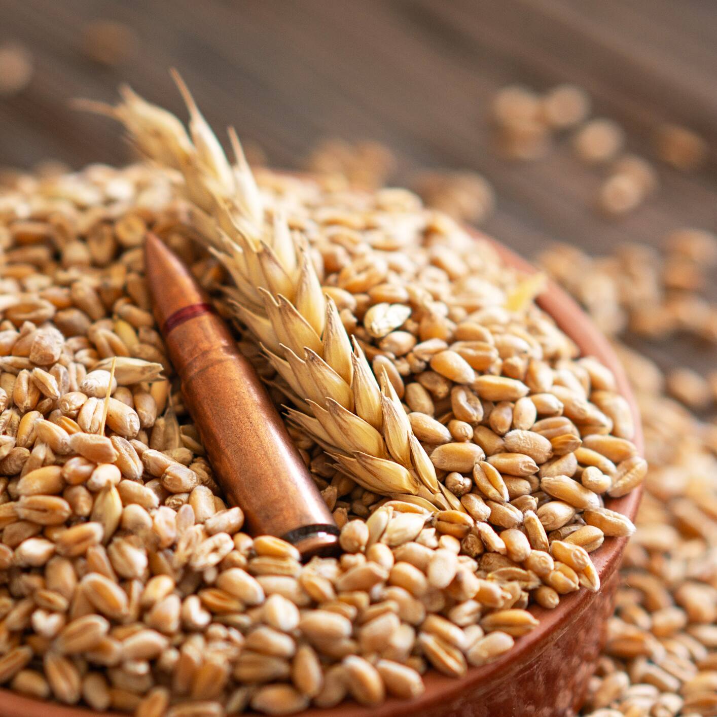 What is agroterrorism? FBI's concern after Chinese nationals caught with deadly fungus