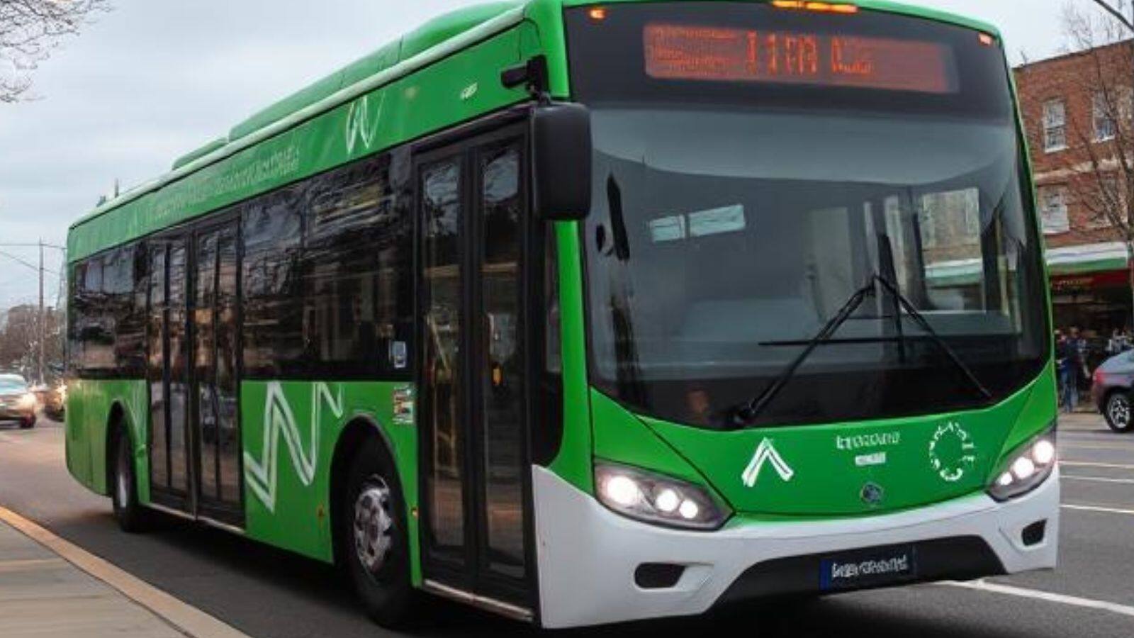 bus
