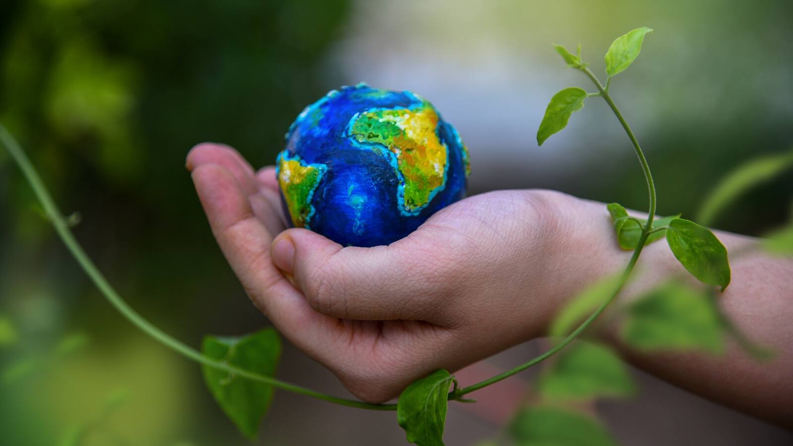 Environment Day Speech for Student