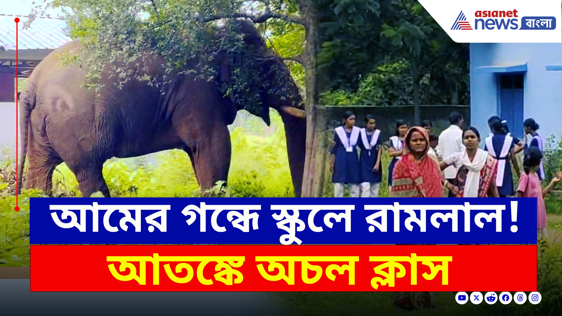 Jhargram : আমের গন্ধে স্কুলে ঢুকে পড়ল রামলাল! আতঙ্কে শিক্ষক ও পড়ুয়ারা