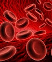 Iron Deficiency: ఈ ల‌క్ష‌ణాలు ఉంటే.. ఐర‌న్ లోపం ఉన్న‌ట్లే!