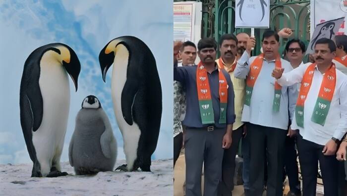 BJP leaders seek penguin's Marathi name at Mumbai zoo