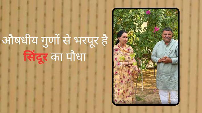 Deputy CM Diya Kumari planted Sindur 