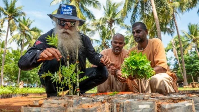 Sadhguru planting trees on World Environment Day