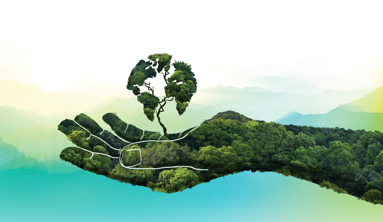 World Environment Day