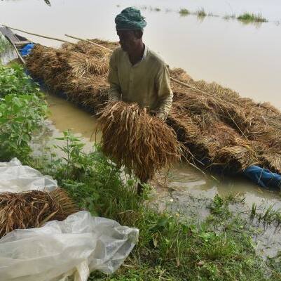 Telugu news live updates:లోకల్ టు గ్లోబల్ న్యూస్