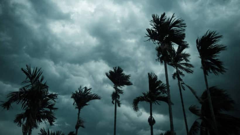 monsoon forecast 