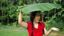 Madhya Pradesh Weather LATEST update: Bhopal, Indore braces for rainfall; heatwave to persist? Check forecast