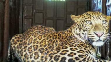 Asianet Image