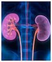 Kidneys: ఇవి తినడం మానేస్తే మీ కిడ్నీలు సేఫ్…లేకపోతే షెడ్డుకే