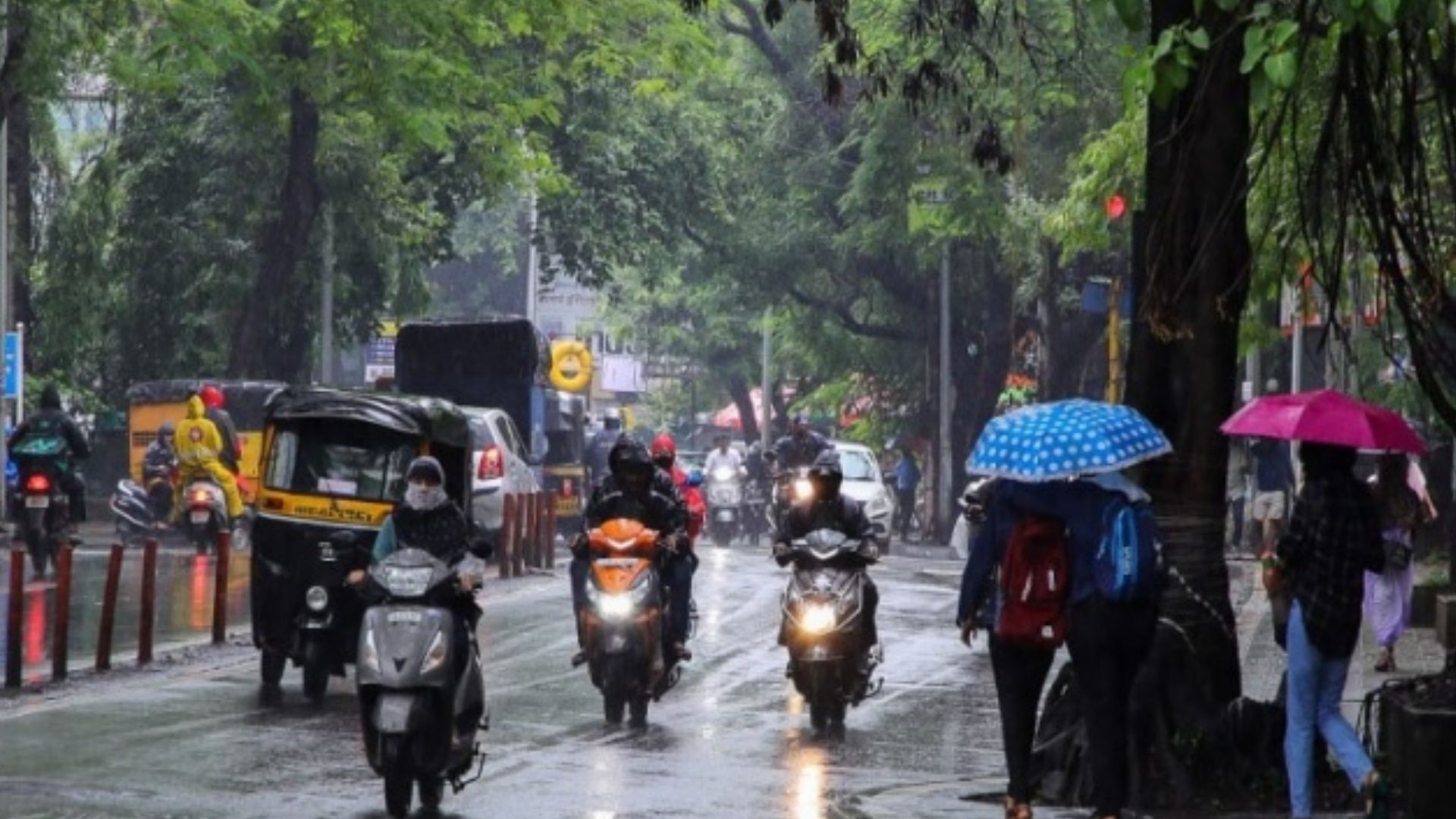Bengaluru rain