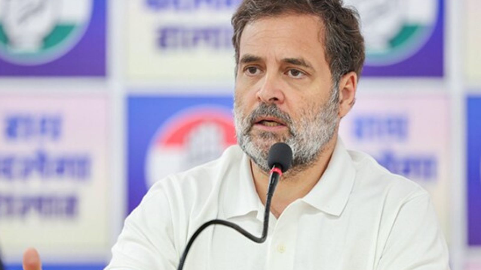 Congress Rahul Gandhi