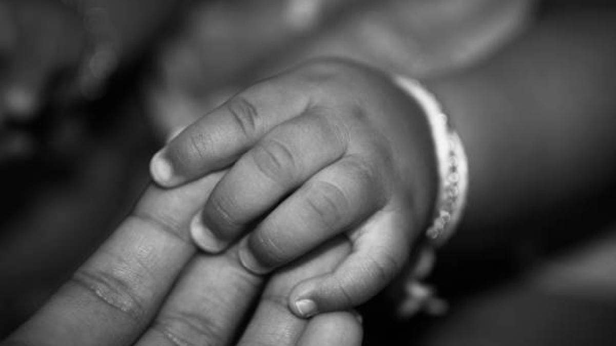 aunt asked find job man slits aunts 3 year old son dumps body in train toilet