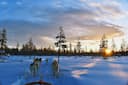 Travel Guide: 7 reasons which makes Finland the happiest country in the World