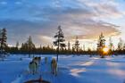 Travel Guide: 7 reasons which makes Finland the happiest country in the World