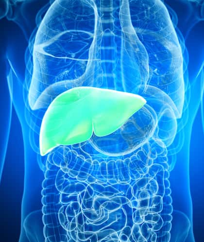 8 Habits Damaging Your Liver