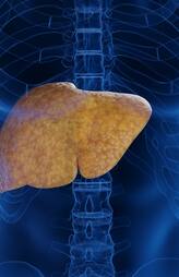 early symptoms of Fatty liver that show up on the face