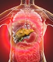 Health Guide: Eat these Foods to Reverse Fatty Liver Disease