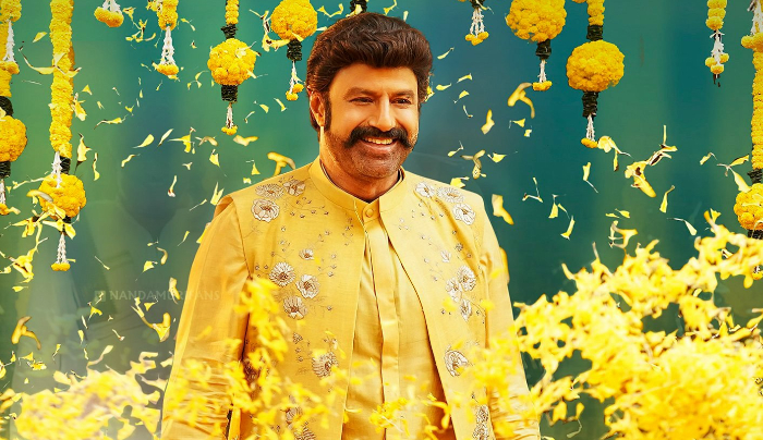 యాక్షన్ చిత్రాలతో మెప్పిస్తున్న బాలయ్య యాక్షన్ చిత్రాలతో మెప్పిస్తున్న బాలయ్య