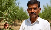 Fateh Singh Rawat in his almond orchard.