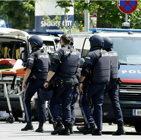 Austrian school shooter who killed nine was 21-year-old ex-student, say officials