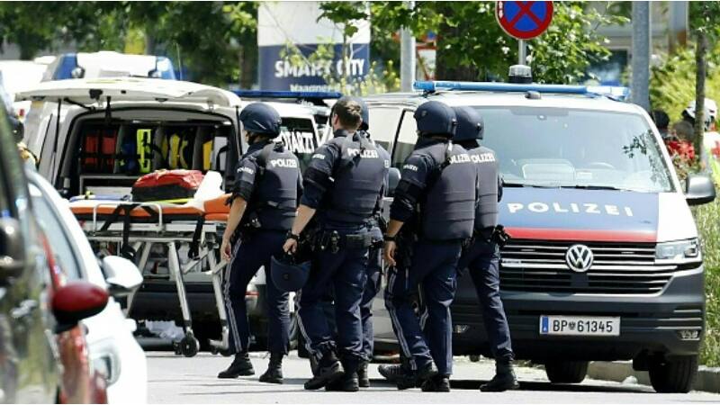 Austrian school shooter who killed nine was 21-year-old ex-student, say officials