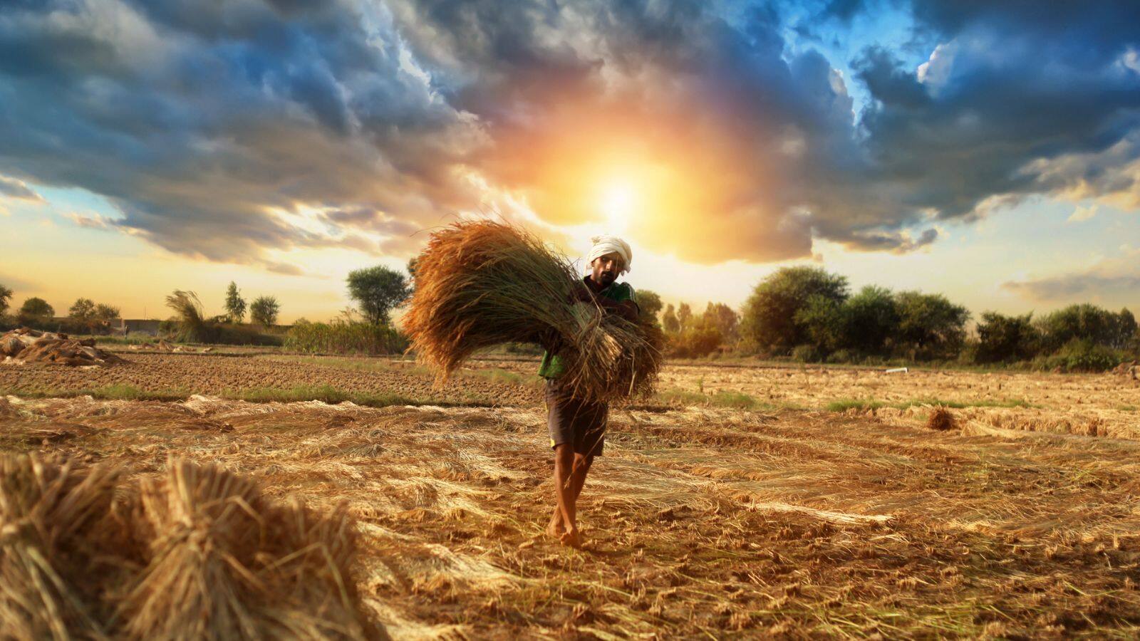 farmer