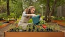 Gardening Guide: 7 science backed benefits of gardening to mental health