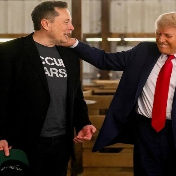 Elon Musk admits Trump posts 'went too far' after Epstein claim and online feud