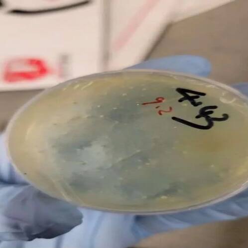 Chinese PhD student from Wuhan charged in US for smuggling biological materials; 2nd such case