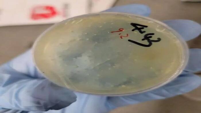 Biological material