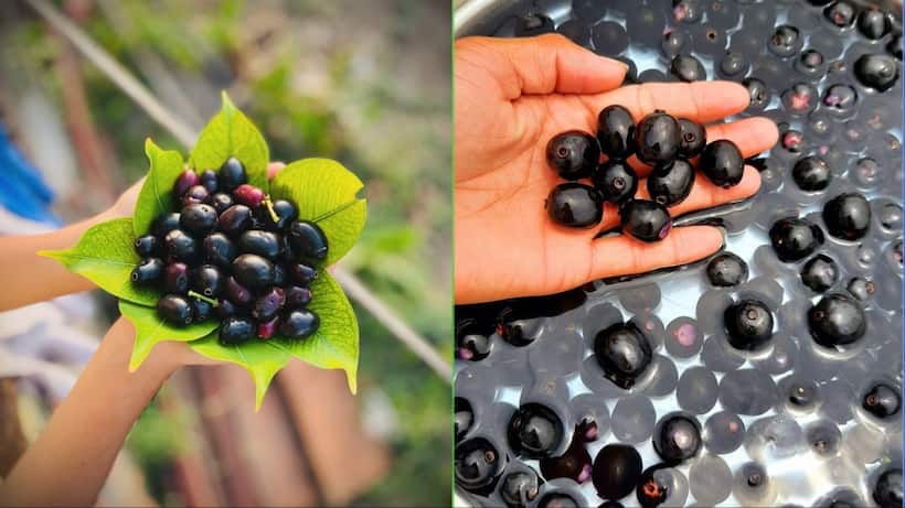 jamun health benefits 