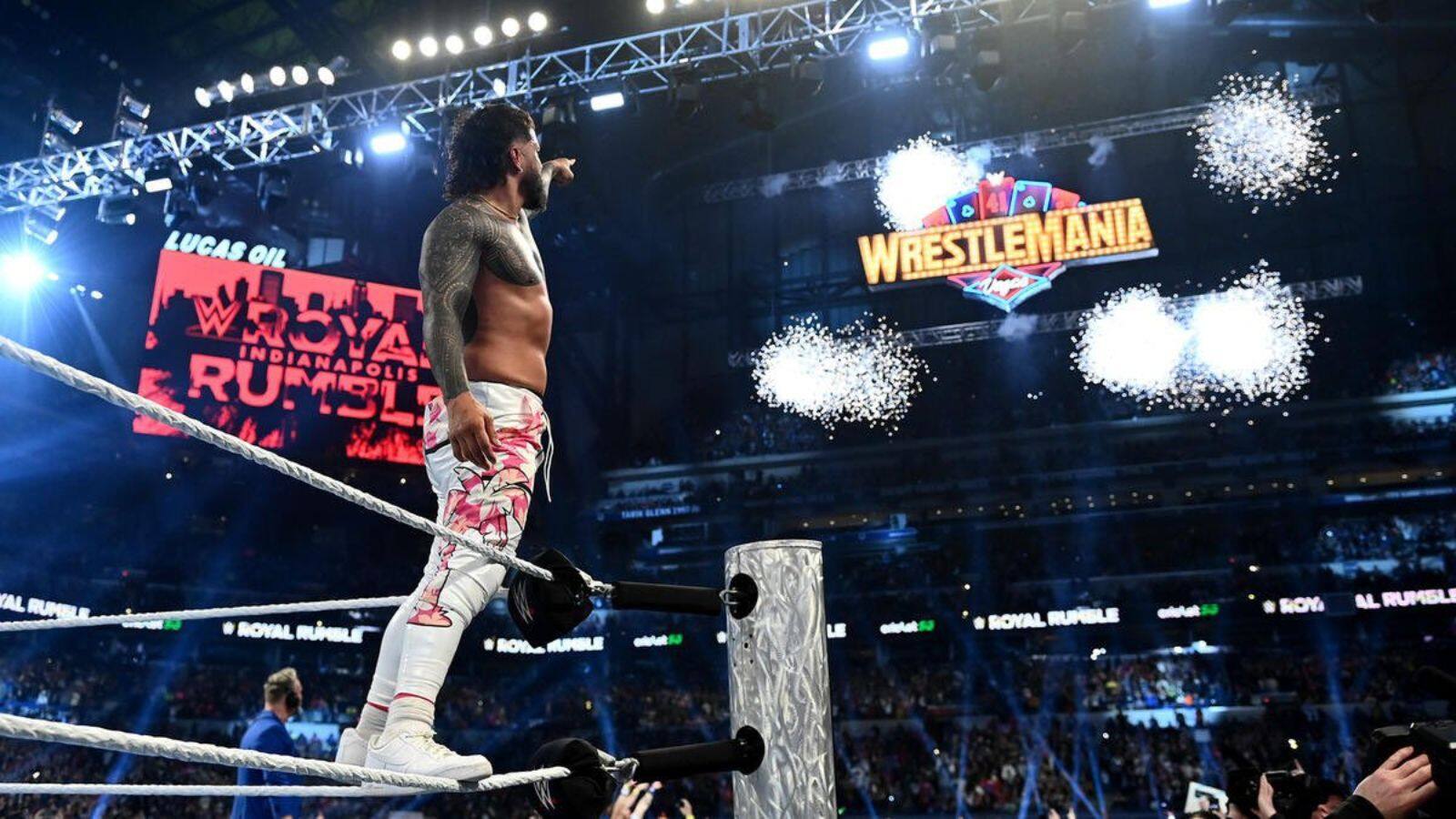 wwe wrestler 