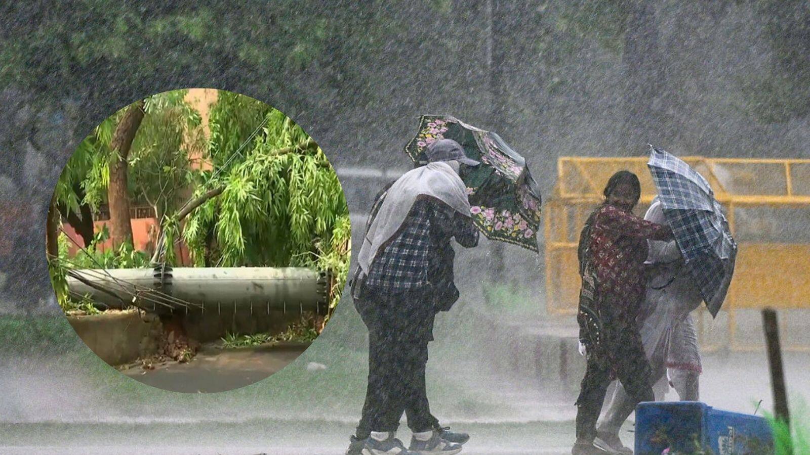 A mobile tower in Safdarjung Enclave fell last night as the city received gusty winds and heavy rainfall 