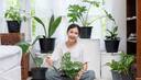 Gardening Guide: 7 easy to grow vegetables at home for beginners