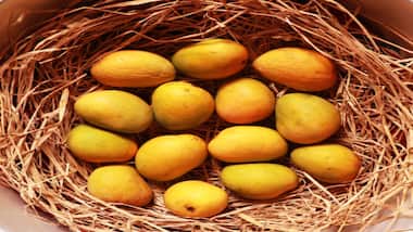 Asianet Image