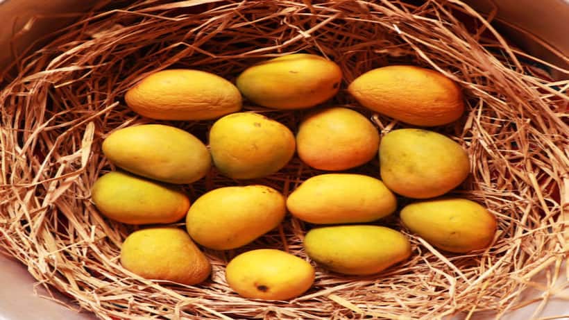 Asianet Image