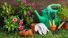 Gardening Guide: 7 common Gardening mistakes and Tips to fix them