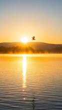 Good Morning: प्रियजनांचा दिवस बनवा खास, पाठवा हे गुड मॉर्निंग संदेश