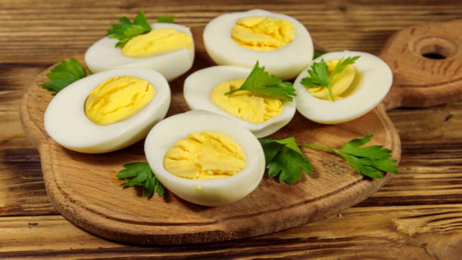 egg