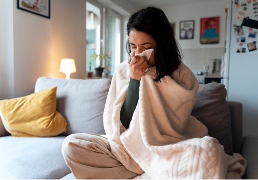 Immune System Immune System