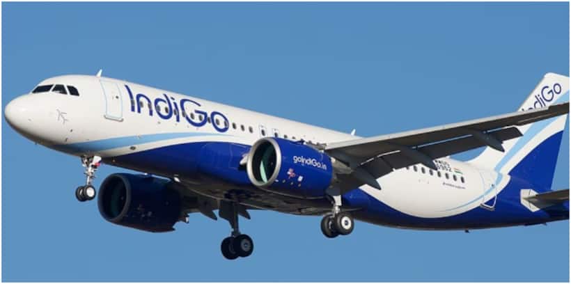 Indigo